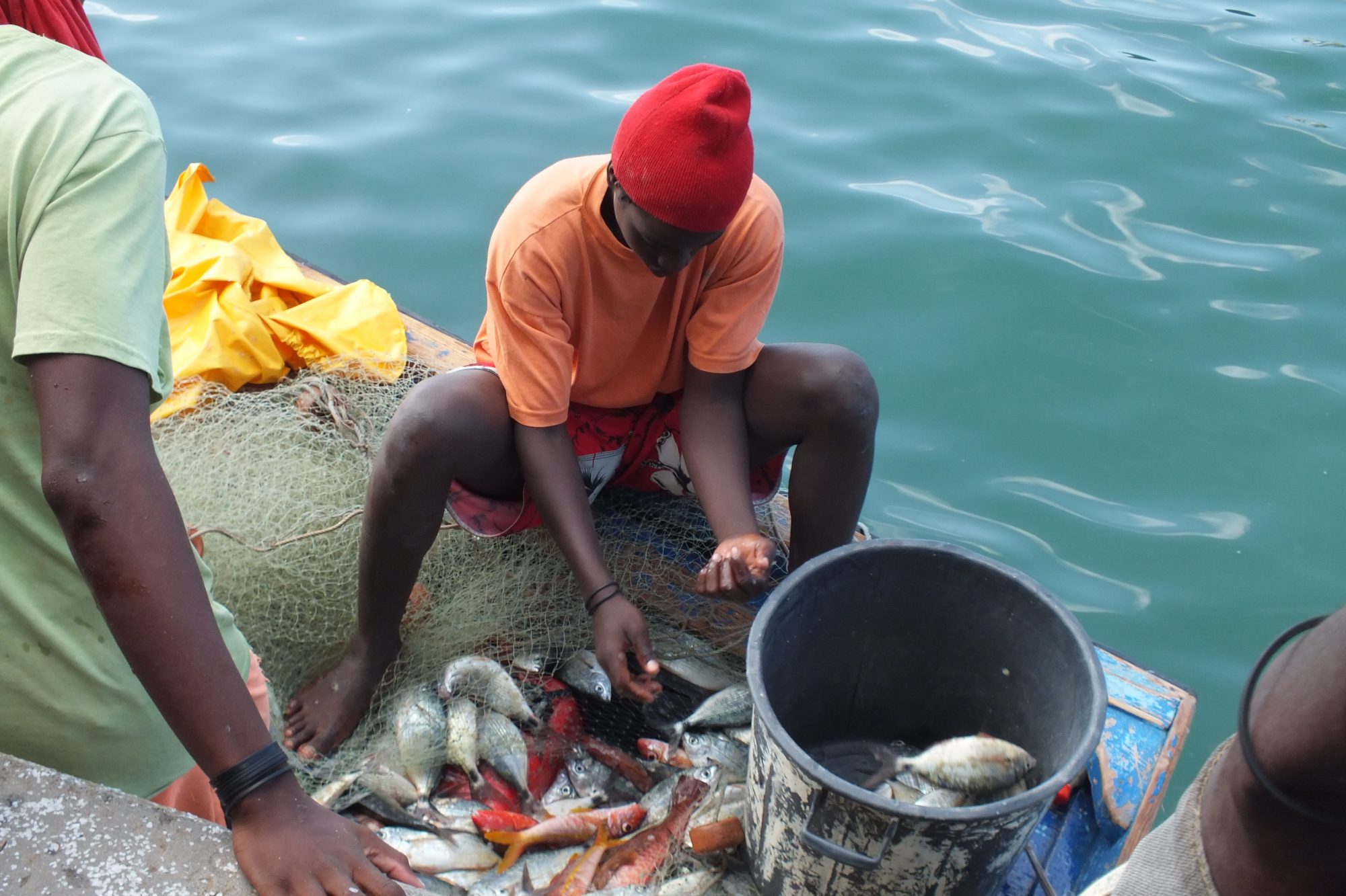 „Rural 21“ zu Fischerei und Ernährungssicherheit