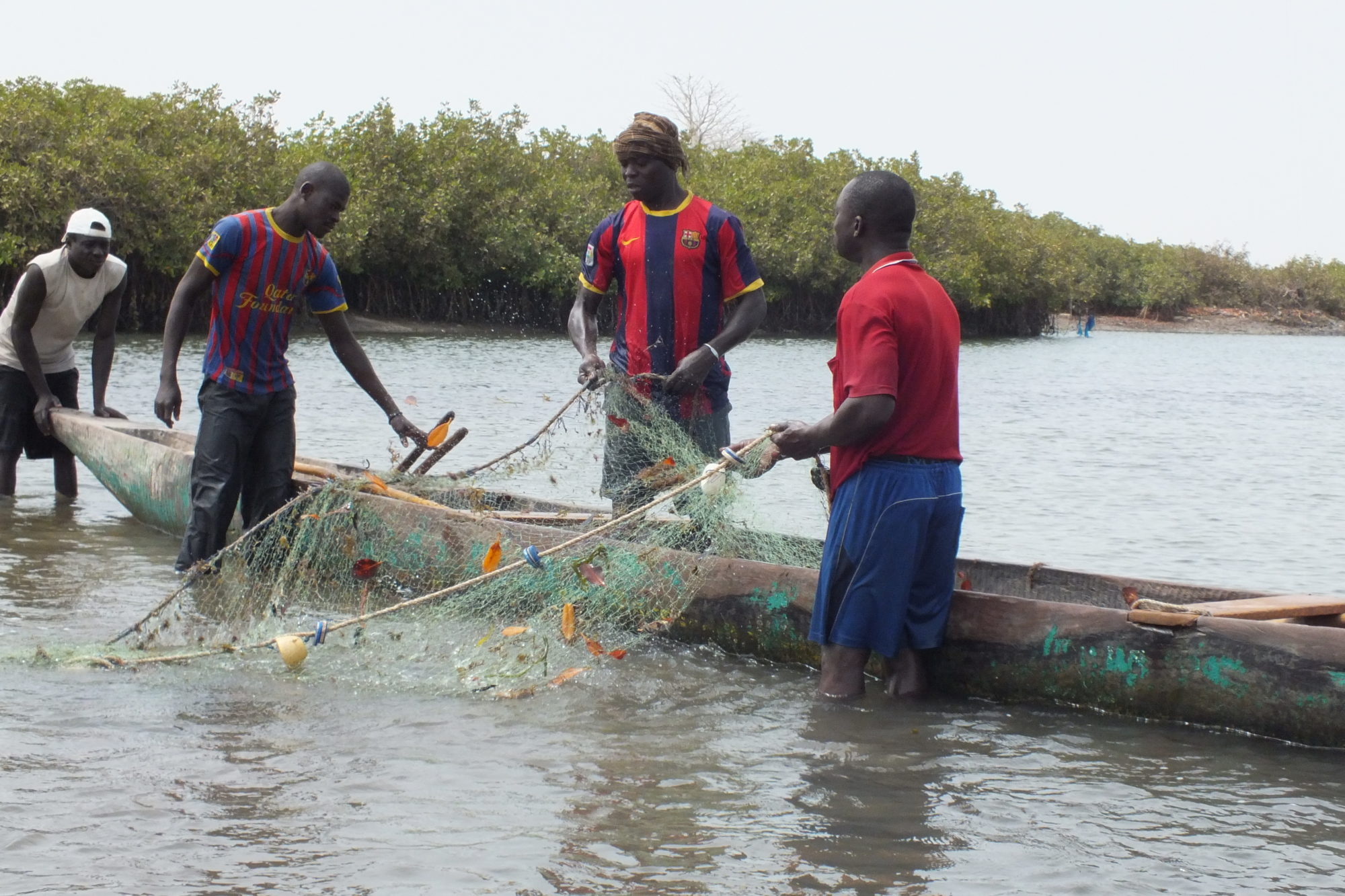 Fischerei und Ernährungssicherheit im Kontext des Klimawandels